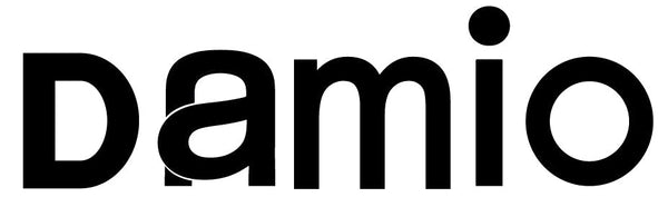 Black 'damio' logo on a white background